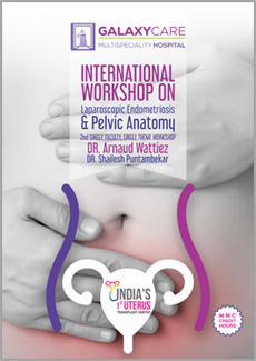 International Workshop On Laparoscopic Endometriosis & Pelvic Anatomy
